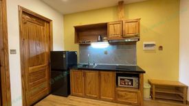 1 Bedroom Apartment for rent in Man Thai, Da Nang