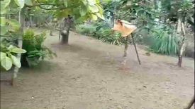Land for sale in Banaba Cerca, Cavite