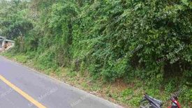 Land for sale in Solo, Batangas