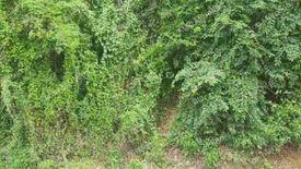 Land for sale in Solo, Batangas