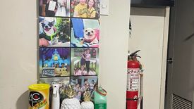 2 Bedroom Condo for sale in Little Baguio, Metro Manila