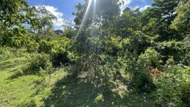 Land for sale in Paliton, Siquijor