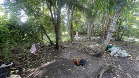 Land for sale in Paliton, Siquijor