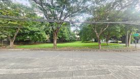 Land for sale in New Alabang Village, Metro Manila
