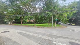 Land for sale in New Alabang Village, Metro Manila
