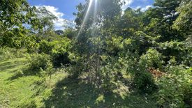 Land for sale in Paliton, Siquijor