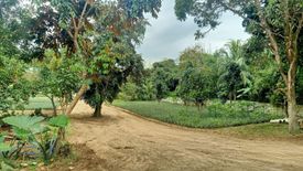 Land for sale in Pajo, Cavite