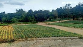 Land for sale in Pajo, Cavite