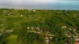 Land for sale in Pantudlan, Bohol