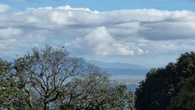 Land for sale in Sungay North, Cavite