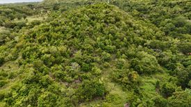 Land for sale in Calunasan, Siquijor