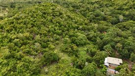 Land for sale in Calunasan, Siquijor