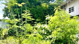 Land for rent in North Fairview, Metro Manila