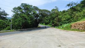 Land for sale in Natipuan, Batangas