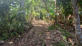 Land for sale in Taywanak Ilaya, Cavite