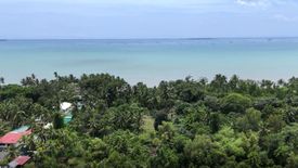 Land for sale in Simpocan, Palawan