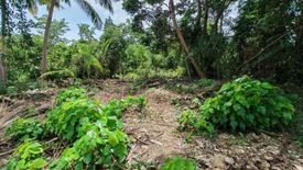 Land for sale in Simpocan, Palawan