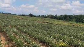 Land for sale in Poblacion, Bukidnon