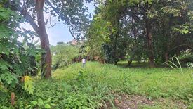 Land for sale in Dela Paz, Rizal