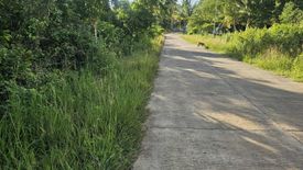 Land for sale in Mayacabac, Bohol