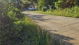 Land for sale in Mayacabac, Bohol