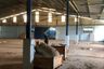 Warehouse / Factory for rent in Maja, Banten