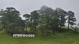 Land for sale in Poblacion, Benguet