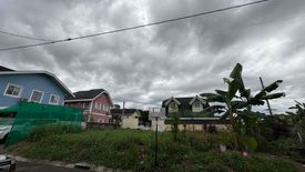 Land for sale in Don Jose, Laguna