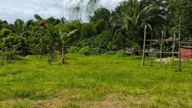 Land for sale in Pangil, Cavite