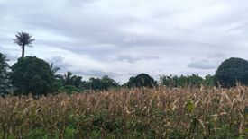 Land for sale in Pangil, Cavite