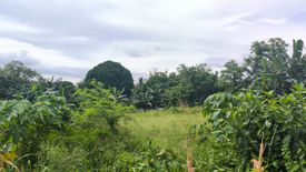 Land for sale in Pangil, Cavite