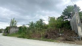 Land for sale in Dao, Bohol