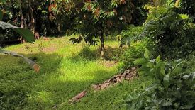 Land for sale in Pangil, Cavite