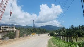 Land for sale in Lucbuan, Palawan