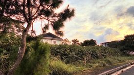 Land for sale in Poblacion, Benguet