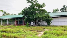 Land for sale in Simpocan, Palawan