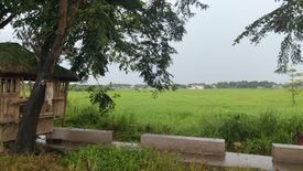 Land for sale in Borol 2nd, Bulacan