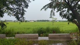 Land for sale in Borol 2nd, Bulacan