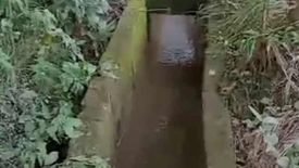 Land for sale in Lomboy, Zambales