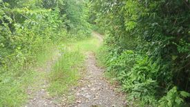 Land for sale in Lomboy, Zambales