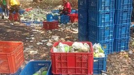 Land for sale in Lomboy, Zambales