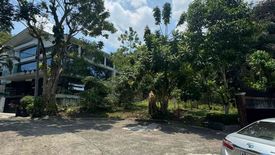 Land for sale in Pansol, Metro Manila