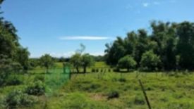 Land for sale in Poblacion, Pangasinan