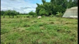 Land for sale in Poblacion, Pangasinan