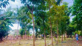 Land for sale in Janopol Oriental, Batangas