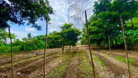 Land for sale in Janopol Oriental, Batangas