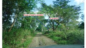 Land for sale in Rio Chico, Nueva Ecija