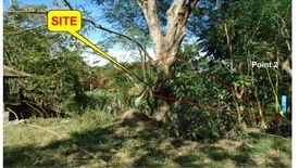 Land for sale in Rio Chico, Nueva Ecija
