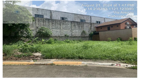Land for sale in San Isidro, Laguna