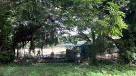 Land for sale in Ayala Alabang Village, New Alabang Village, Metro Manila